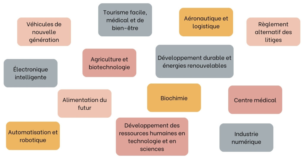 les différents types de SMART Visa