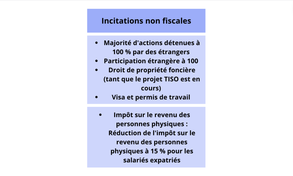 Quelles sont les incitations disponibles pour les projets BOI TISO ?