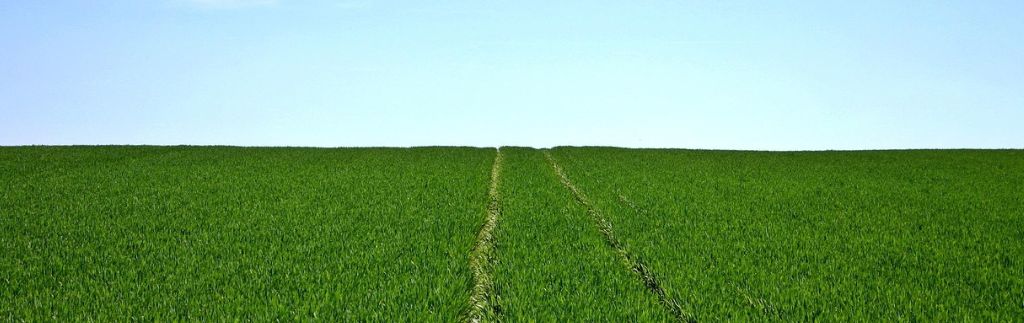 Agricultural fields illustrating land governed by the land code in Thailand
