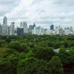 Дом в Бангкоке: вид на город с зелёными зонами и небоскрёбами, отражающих природу города.