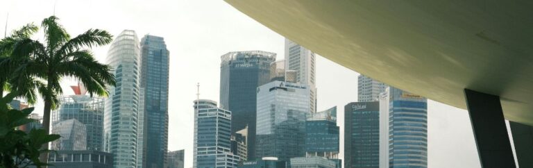 Skyline del quartiere finanziario di Singapore con palma in primo piano — sede delle principali banche internazionali per chi gestisce l'IVA a Singapore