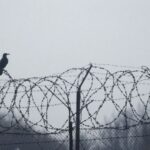 Arrested in Thailand: prison fence and legal consequences following an arrest in Thailand.